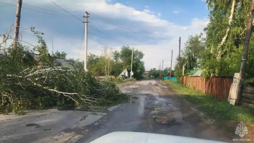 В Алтайском крае из-за непогоды нарушено электроснабжение 44 населённых пунктов
