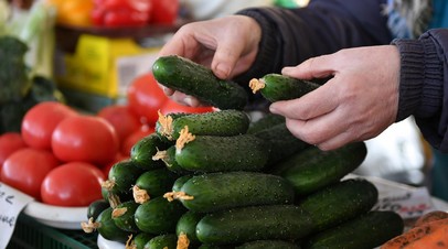 Юрист рассказала, когда продажа овощей может привести к штрафу