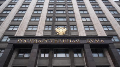 В Госдуме назвали возможные темы встречи Лаврова и Рубио