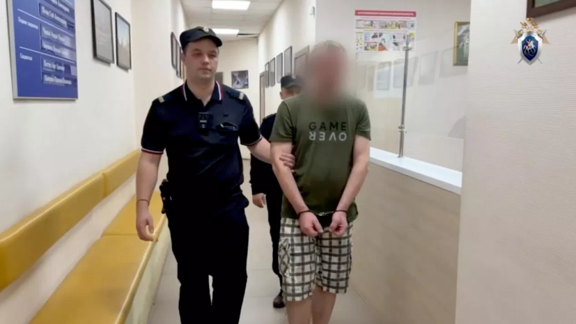 СК: мужчине, напавшему с ножом на людей в Солнечногорске, предъявили обвинение