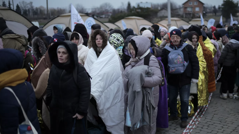 Политолог Трухачёв допустил ужесточение отношения к беженцам с Украины в ЕС