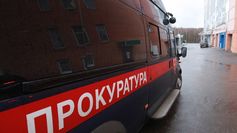 Проверка организована после гибели двух человек при падении деревьев в Смоленске
