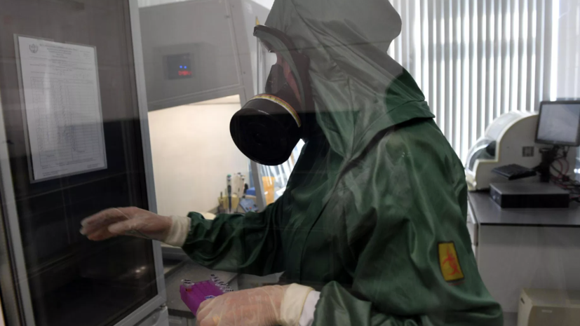 В России зарегистрировали одну из первых в мире тест-систем вируса Бундибуджио