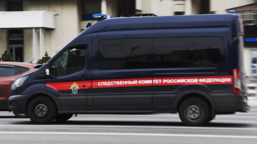 Против иноагента Катерины Гордеевой завели дело о фейках о ВС России
