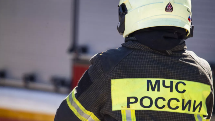 В Севастополе возобновился пожар в лесу у пляжа после падения БПЛА