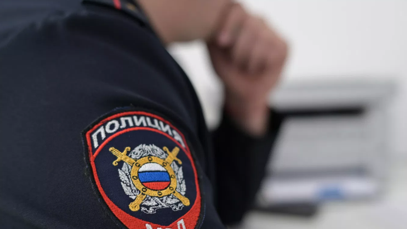 МВД России объявило в розыск политолога Становую