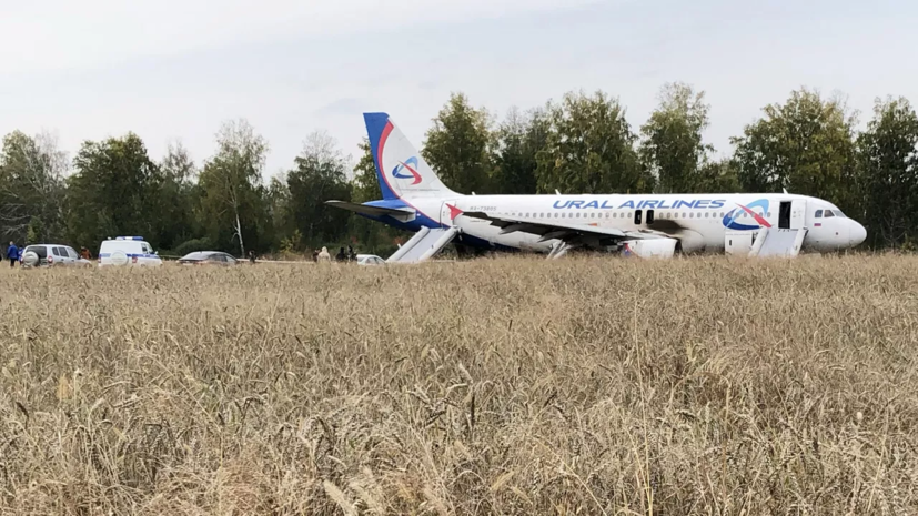 Посадивший в поле под Новосибирском A320 пилот поблагодарил в суде за поддержку