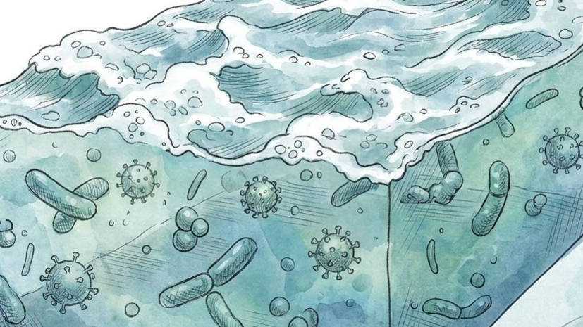 Врач Волгина: в морской воде могут присутствовать возбудители кишечных инфекций