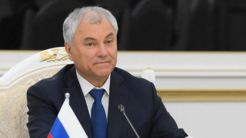 Володин заявил, что новые правила контроля за лекарствами защитят граждан