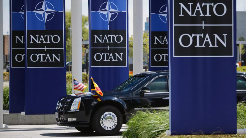 Bloomberg: США оценят поддержку союзников по НАТО перед сокращением сил в Европе