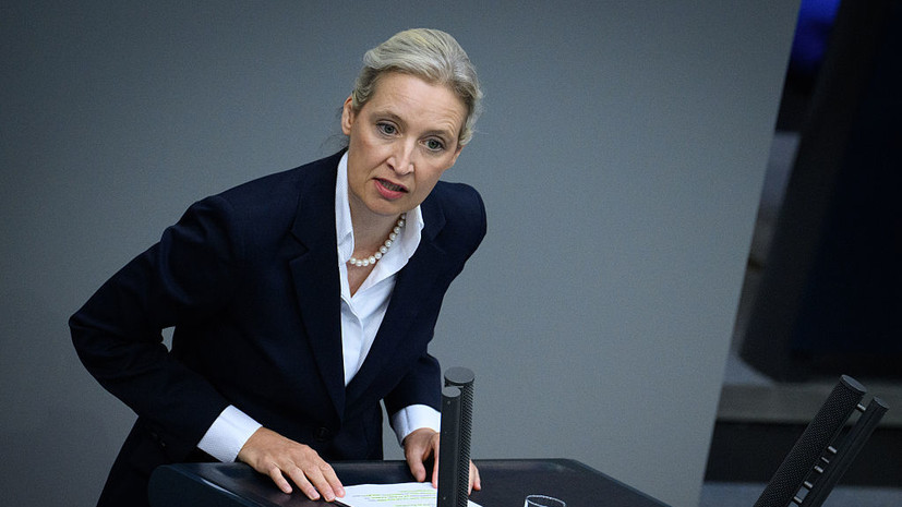 Вайдель раскритиковала власти ФРГ за бездействие по делу о «Северных потоках»