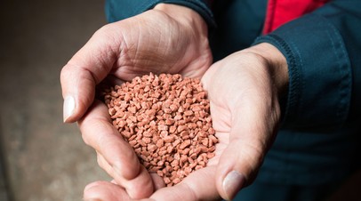 Посольство: Бразилия увеличивает закупки удобрений из России