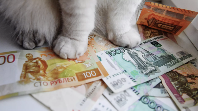 Юрист Метелица перечислил законные причины для удержания части зарплаты