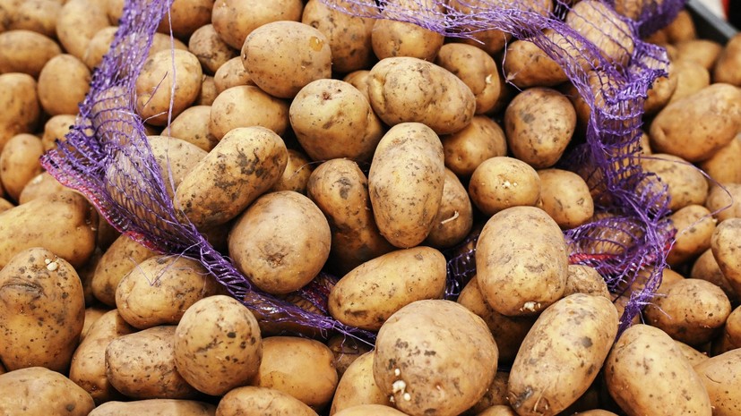 Руспродсоюз: самым подешевевшим в августе в России продуктом стал картофель