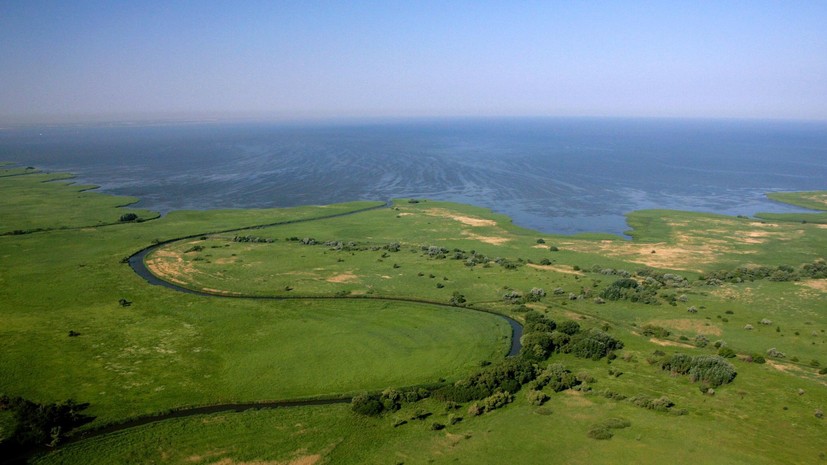 В Азовском море на фоне рекордной солёности появились новые виды рыб