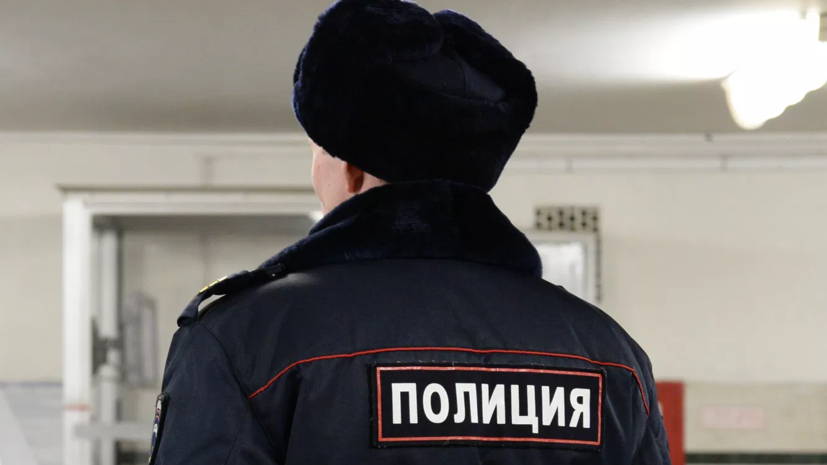 В Орле на хозяина собаки завели дело о жестоком обращении с животным