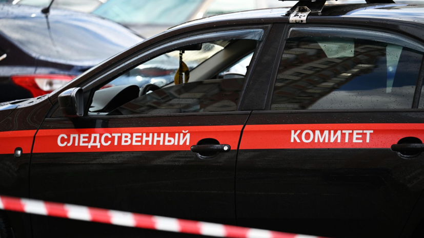 СК сообщил о возбуждении дела в отношении иноагента Шпака