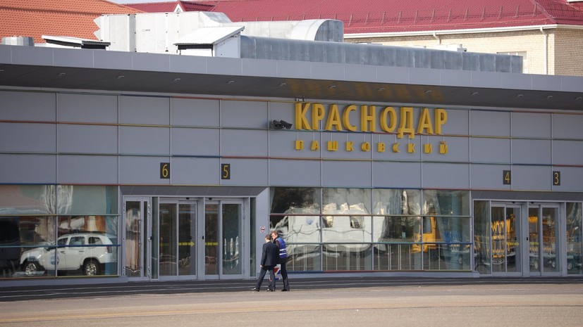 Сбежавший в аэропорту Краснодара кот должен был первый раз полететь на самолёте