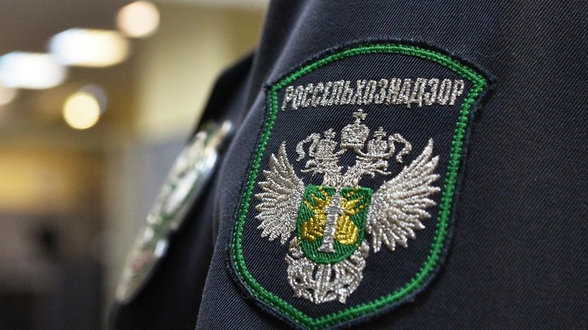 Россельхознадзор не установил связь между вакциной «Мультифел» и гибелью кошек