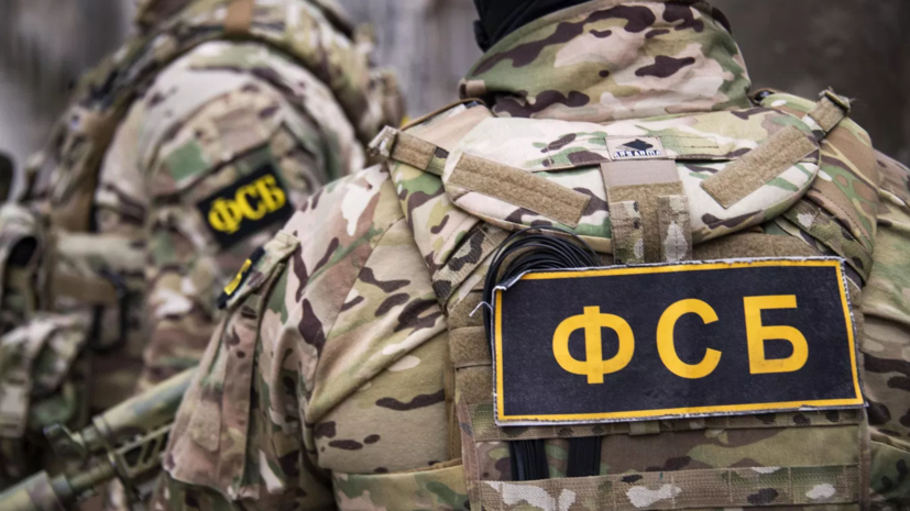 ФСБ: глава RDS Максимова организовала сбор денег и иной помощи для Киева