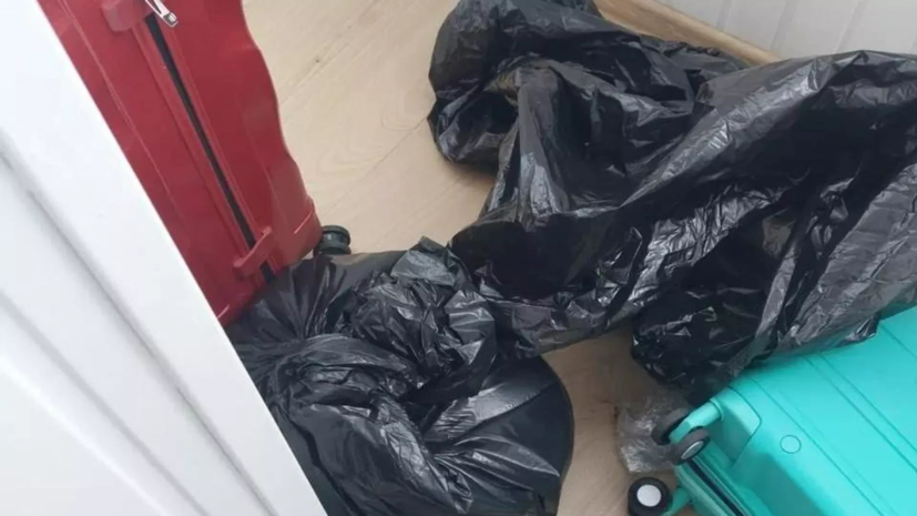 Дочь расчленённой женщины в Москве найдена убитой в гараже сожителя матери