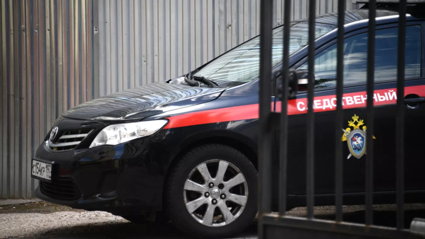 После избиения школьницы в Ленобласти возбудили дело о хулиганстве