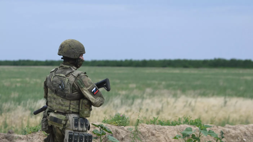 ВС России обнаружили «инкубаторы» для дронов ВСУ под Великомихайловкой