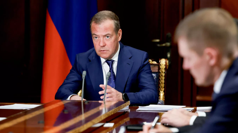 Медведев заявил о многочисленных фейках о России