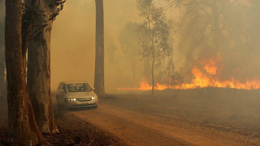 Австралия в огненном плену: власти говорят о катастрофе