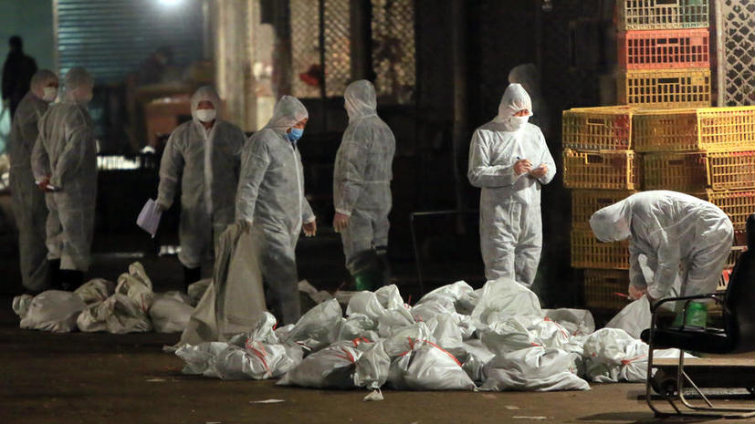 В Китае вирус H7N9 унес жизни шести человек, власти Шанхая проводят массовый забой птицы
