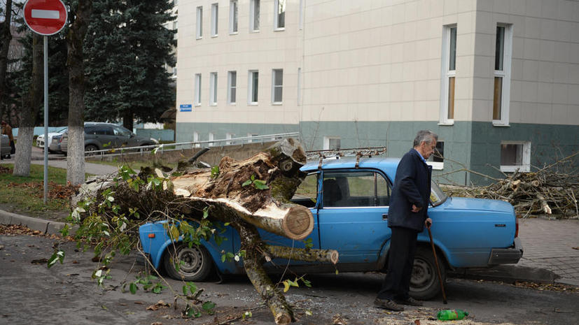 Российские автостраховщики будут оценивать аварийные машины по единой методике
