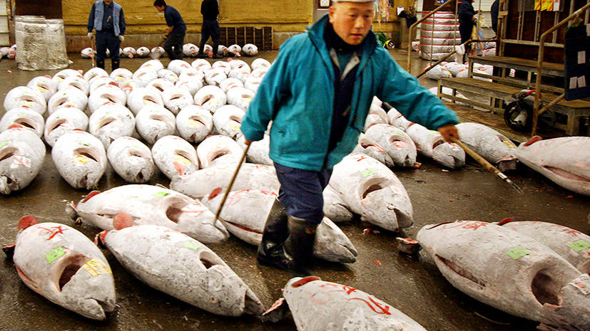 Знаменитый рыбный рынок Цукидзи  в Токио переносят на новое место