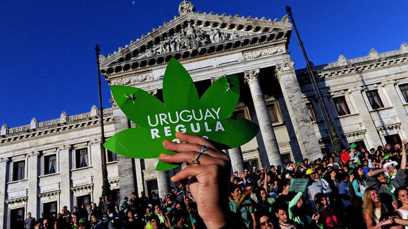 СМИ: латиноамериканские страны могут вслед за Уругваем легализовать каннабис