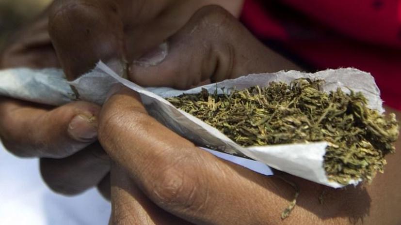 Власти Грузии задумались о легализации марихуаны