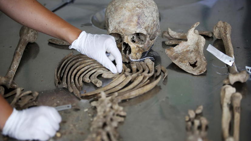 Самый древний: французский подросток обнаружил зуб человека возрастом не менее 550 тыс. лет