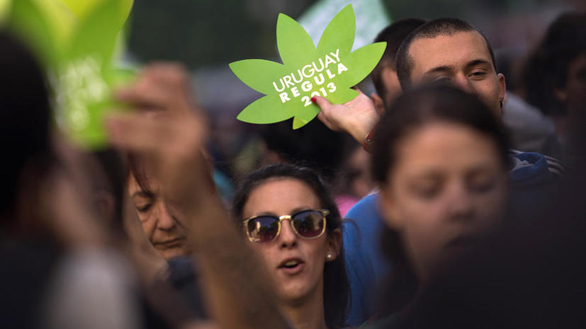 Уругвай стал первой в мире страной, легализовавшей производство и продажу марихуаны