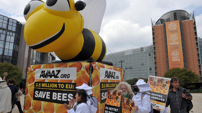 Для спасения пчел в Европе ограничено использование пестицидов