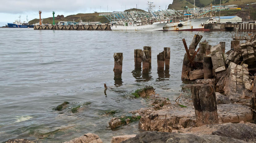 Северокорейский военный корабль обстрелял российское рыболовное судно, но морякам «могло показаться»