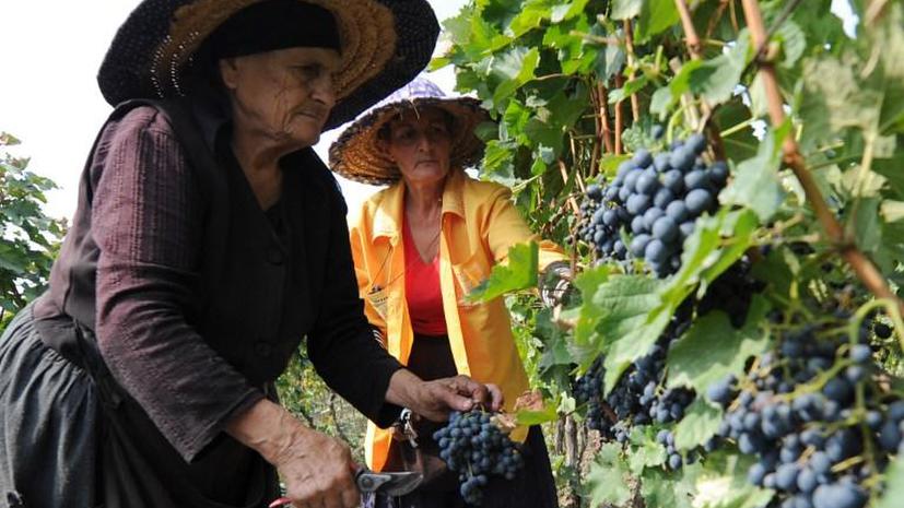 Геннадий Онищенко: Грузинские производители представили на экспертизу прокисшее вино