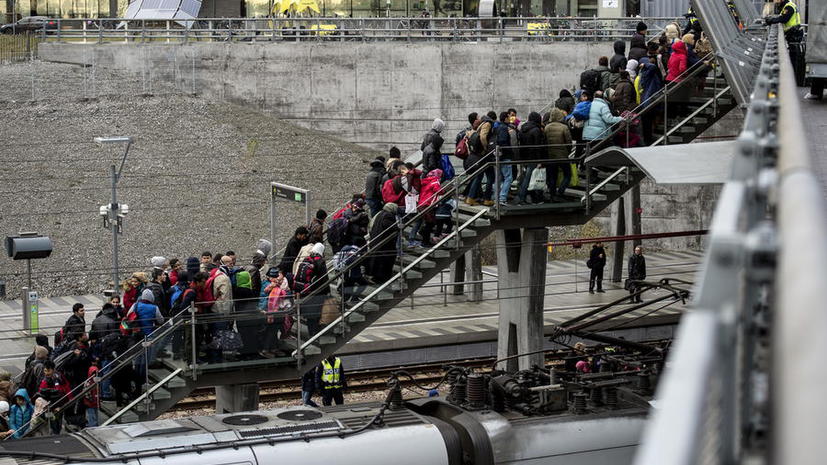 Власти Швеции могут выслать до 80 тыс. беженцев