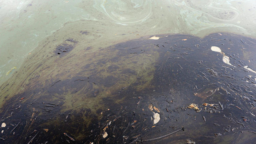 Новая угроза Мексиканскому заливу: туда чуть не попала нефть из трубопровода Shell