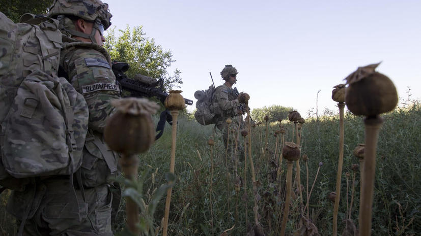 Конгресс США: Война с наркотиками в Афганистане потерпела фиаско
