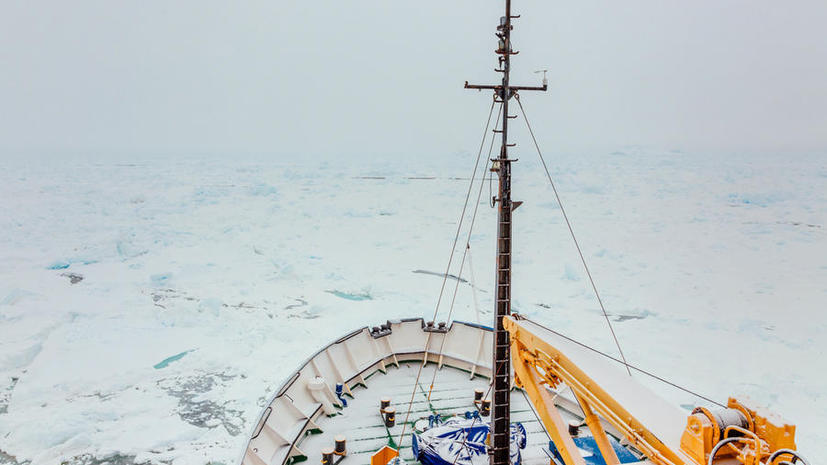 Российское судно «Академик Шокальский» оказалось в ледовом плену у берегов Антарктиды