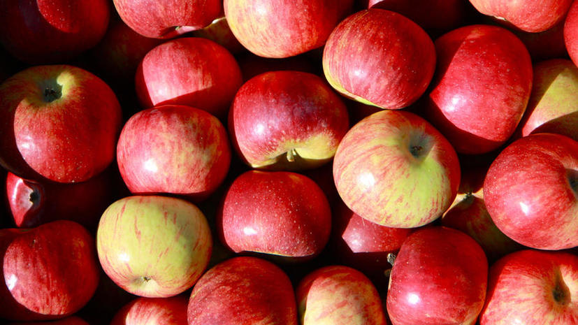 Исследование: климат меняет вкус яблок