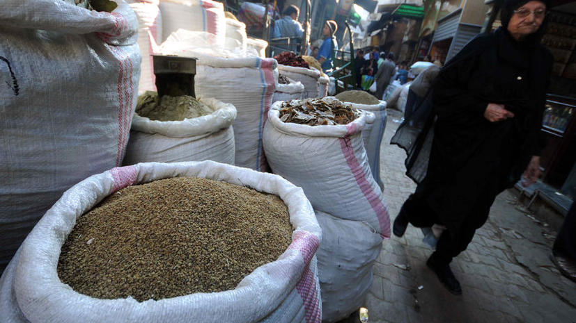 Египет отказался от бесплатной пшеницы из России