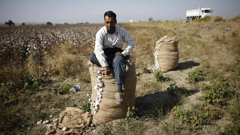 Российские санкции подкосили турецкое сельское хозяйство
