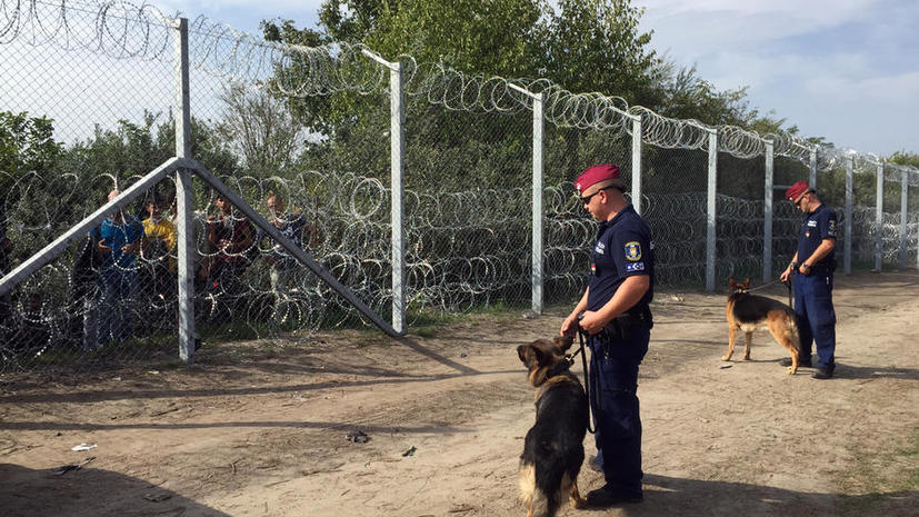 СМИ: Немецкая компания отказалась продать Венгрии колючую проволоку для защиты от беженцев