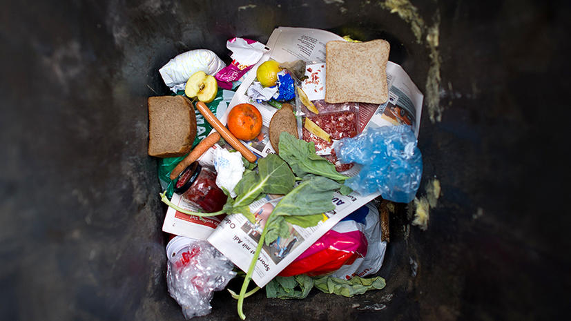 Половина всех производимых в мире пищевых продуктов выбрасывается
