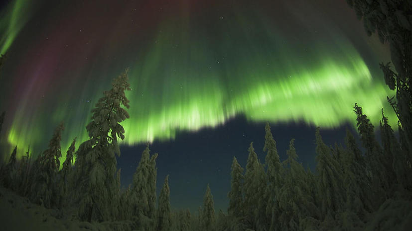 ​Северное сияние: фотографу удалось запечатлеть уникальные кадры