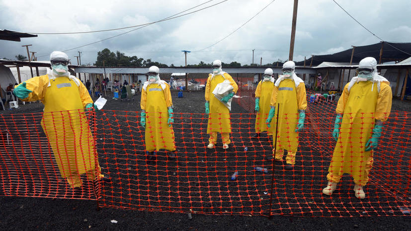 Вирусолог: Россиянам не стоит паниковать по поводу вируса Эбола